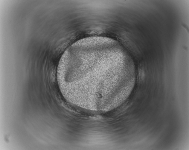 X0000102411250200808221903