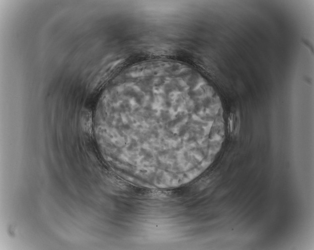 X0000102411251200808221903