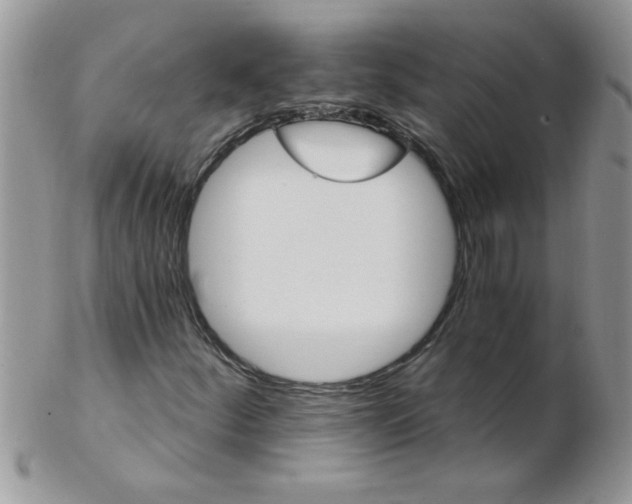 X0000102411252200808221903