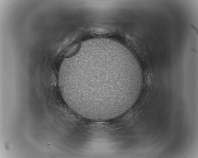 X0000102411253200808221903