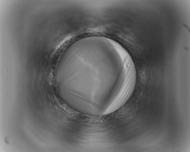 X0000102411254200808221903