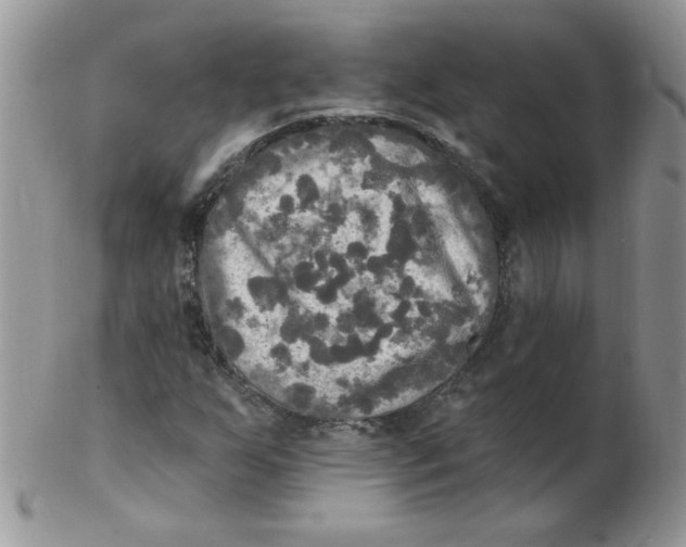 X0000102411255200808221903