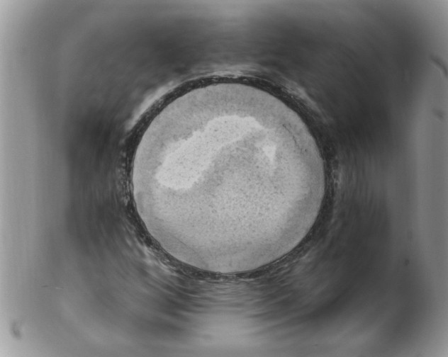 X0000102411256200808221903