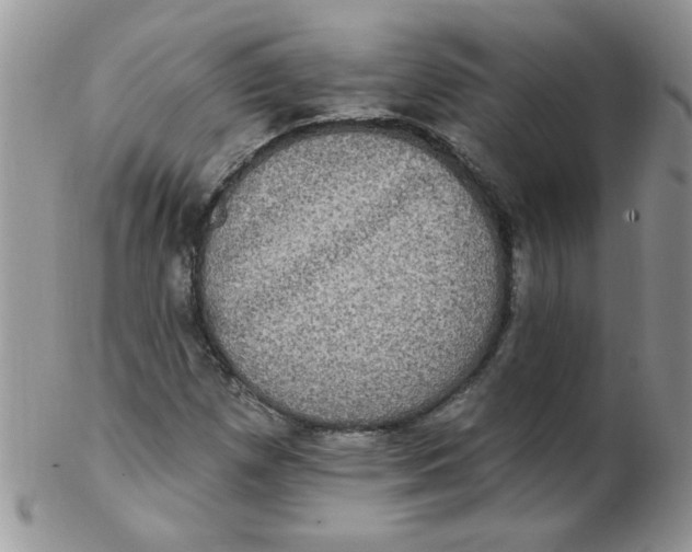 X0000102411257200808221903