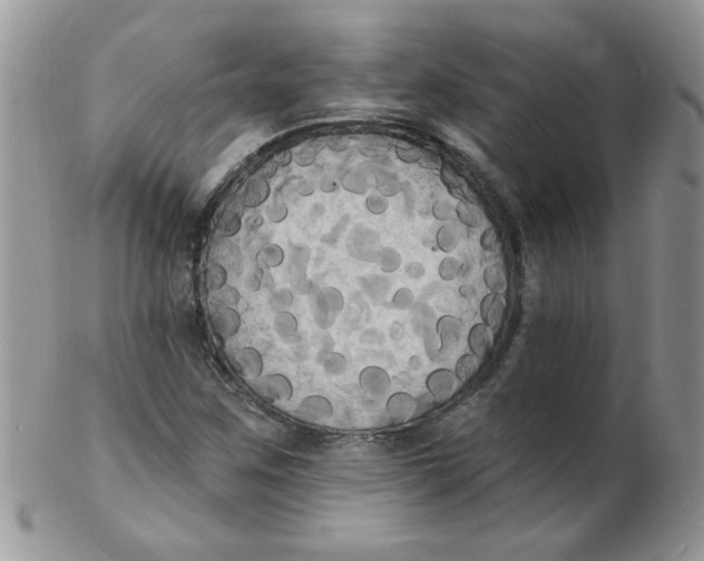 X0000102411259200808221903