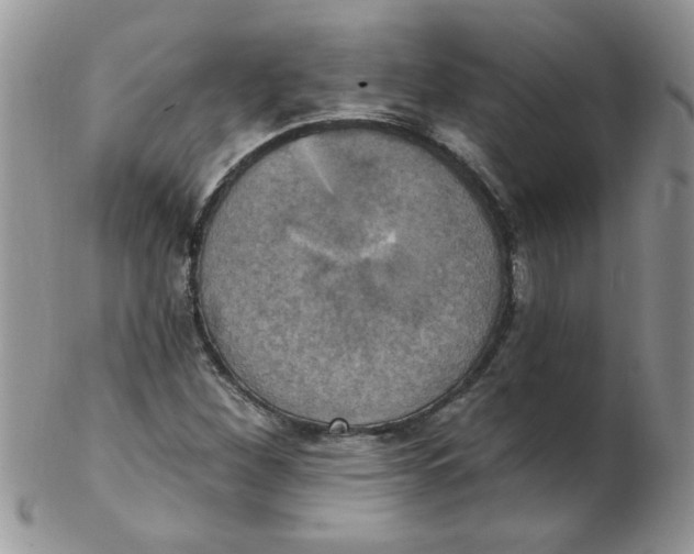 X0000102411260200808221903