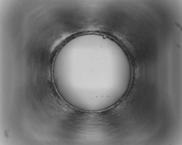 X0000102411262200808221903