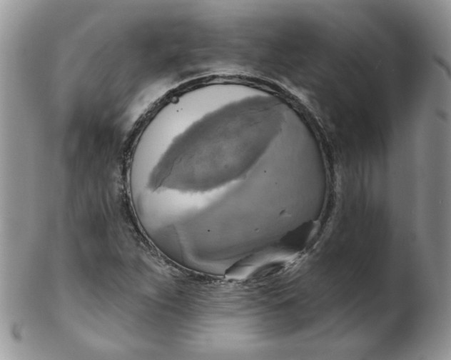 X0000102411263200808221903