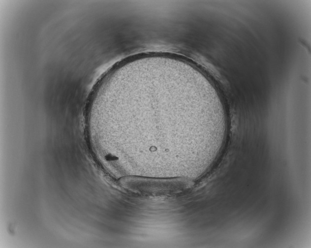 X0000102411264200808221903