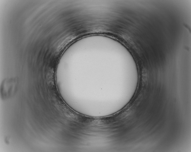 X0000102411265200808221903