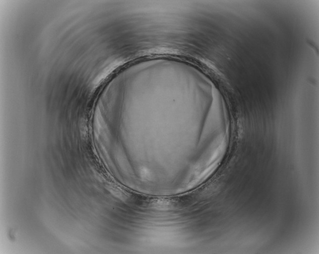 X0000102411266200808221903