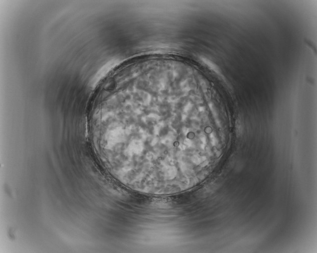 X0000102411267200808221903