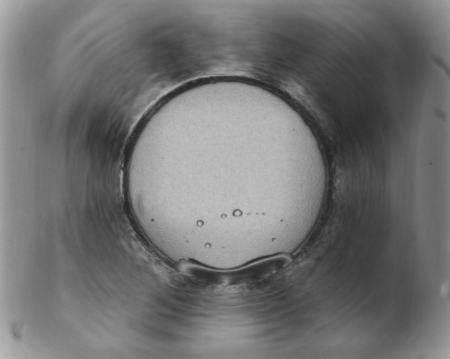 X0000102411268200808221903