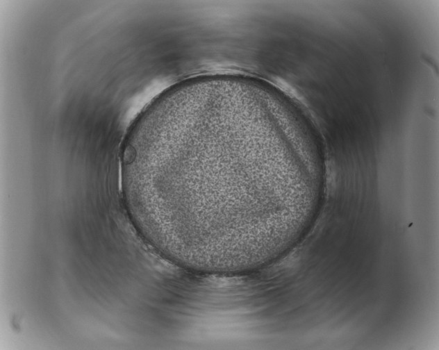 X0000102411269200808221903