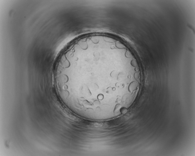 X0000102411271200808221903