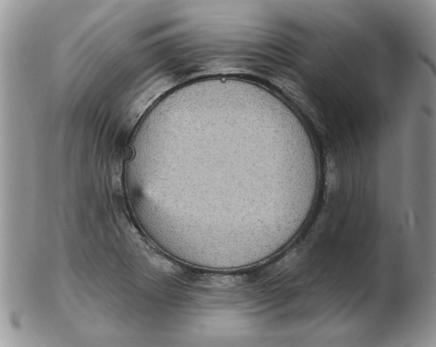 X0000102411273200808221903