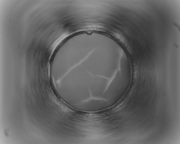 X0000102411275200808221903