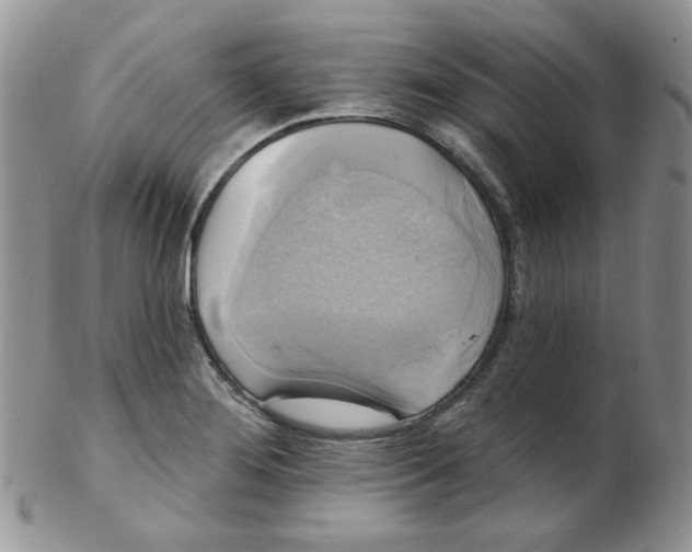 X0000102411276200808221903