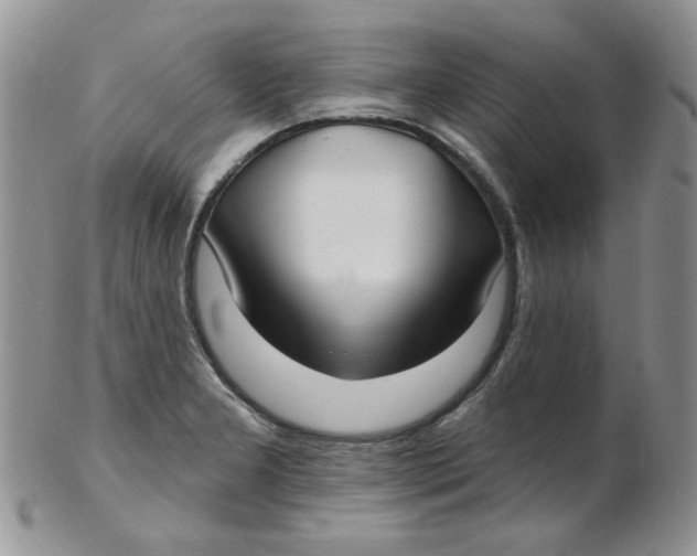 X0000102411277200808221903