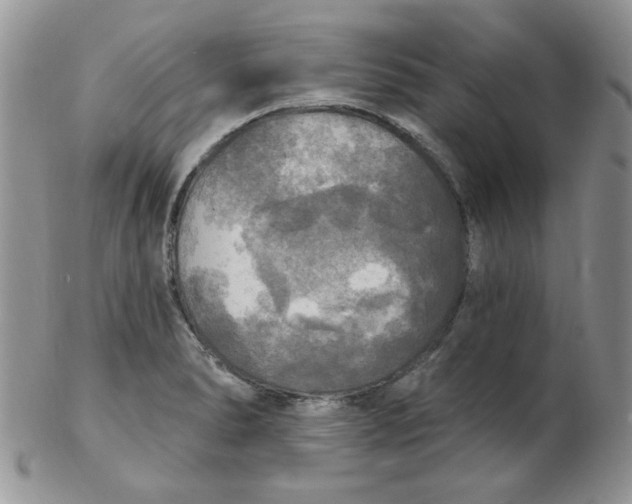 X0000102411278200808221903