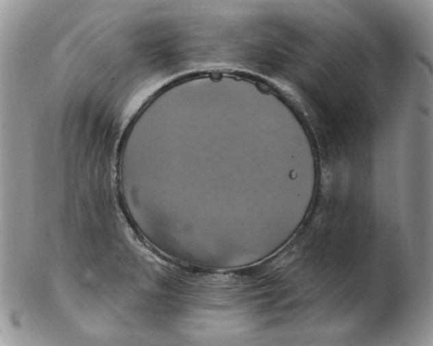 X0000102411279200808221903