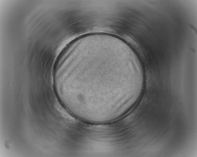 X0000102411280200808221903