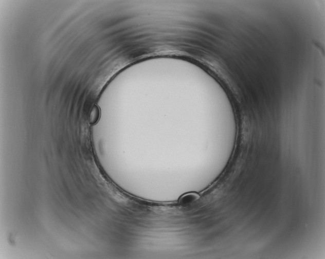 X0000102411281200808221903