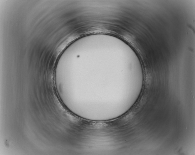 X0000102411282200808221903