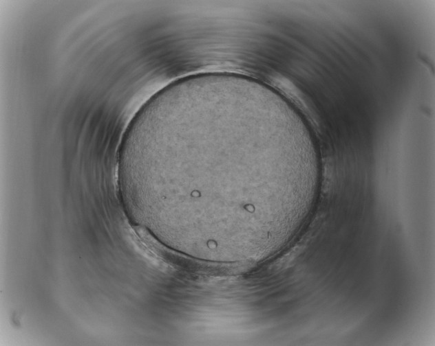 X0000102411284200808221903