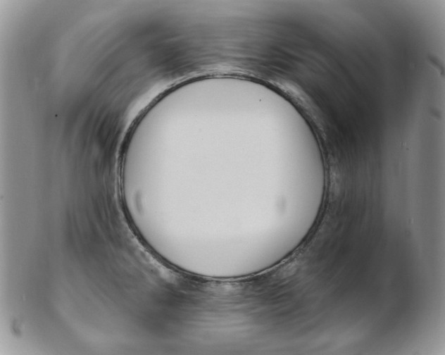 X0000102411286200808221903