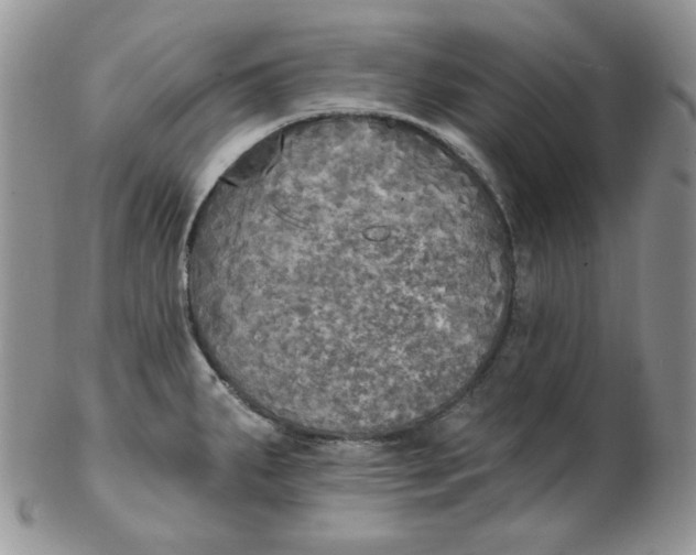 X0000102411287200808221903