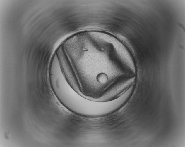 X0000102411288200808221903