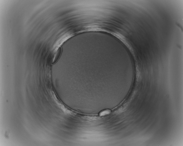 X0000102411289200808221903