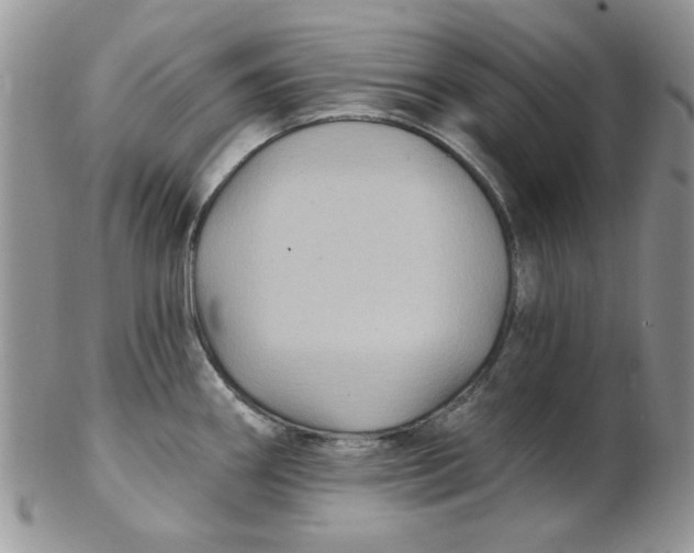 X0000102411290200808221903