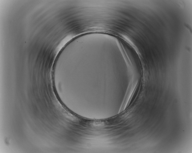 X0000102411291200808221903