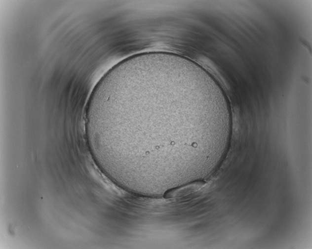 X0000102411292200808221903