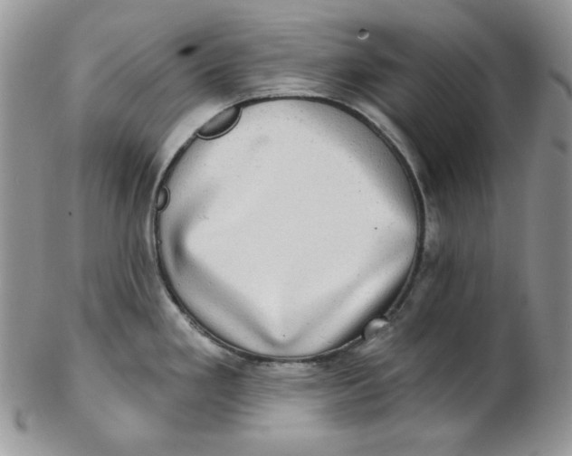 X0000102411293200808221903