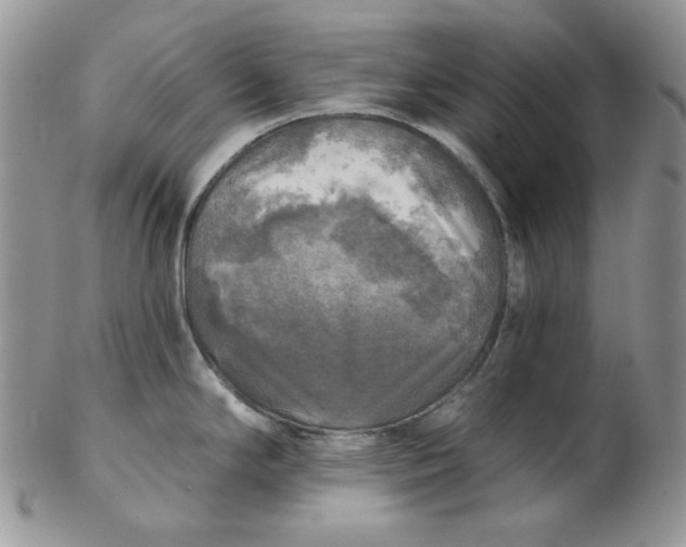 X0000102411294200808221903