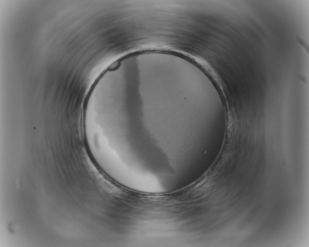 X0000102411295200808221903