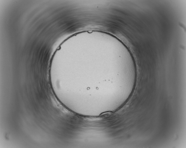 X0000102411296200808221903