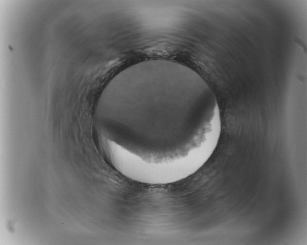 X0000102411297200808221902