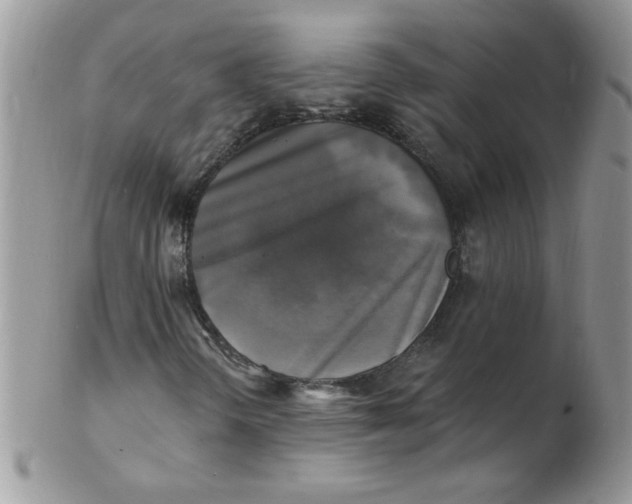 X0000102411298200808221902