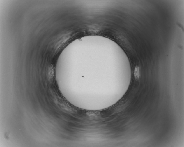 X0000102411299200808221902