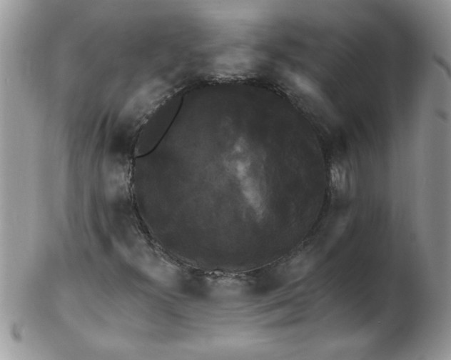 X0000102411300200808221902