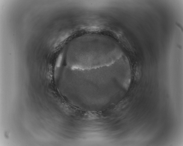 X0000102411301200808221902