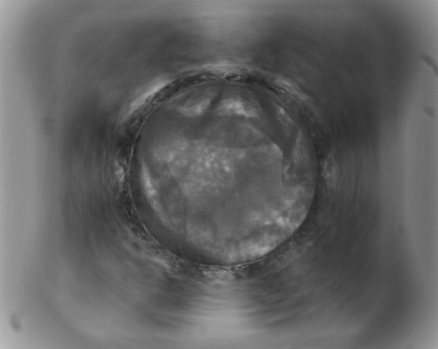 X0000102411302200808221902