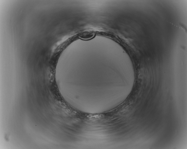 X0000102411303200808221902