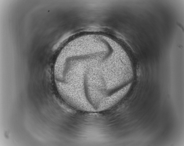 X0000102411304200808221902