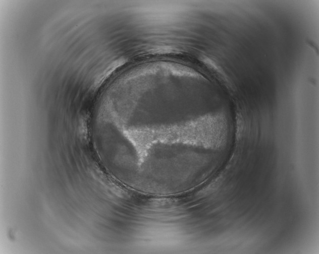 X0000102411305200808221902