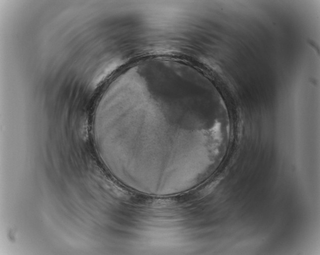 X0000102411306200808221902